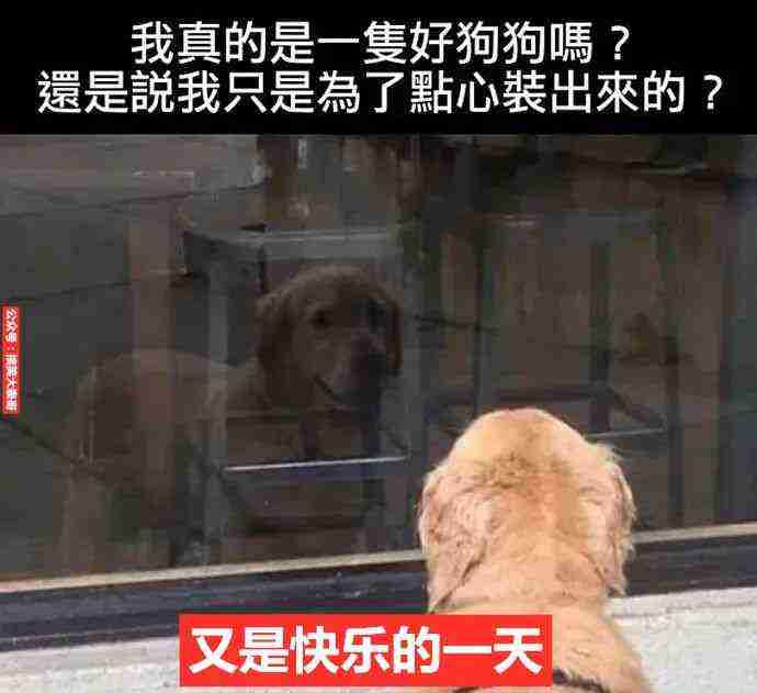 岛国老诗，你能认出几个来？